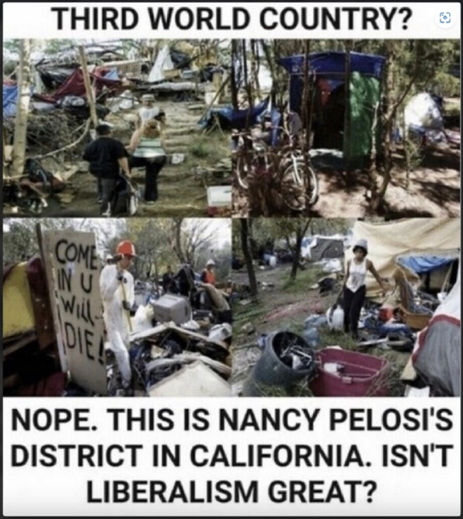 Nancy Pelosi's District